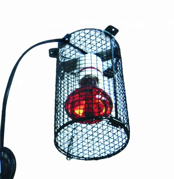 Preview: LAMP-CAGE